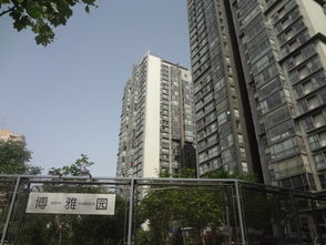 博雅園租房,33000元 月,觀golf 南北通透 朝陽公園 景園 9號公寓 拎包入住 北京租房 推推99北京房產網