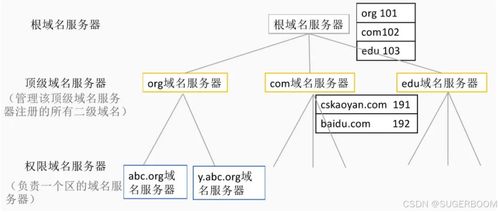 服務基礎第一階段第六節 Windows系統管理基礎——DNS部署與安全，助力信息系統運行維護服務